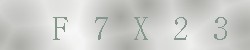 <!--| u_f_s_valimg |-->